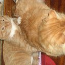 ��� ������� �� ������� ����� ��� ������������