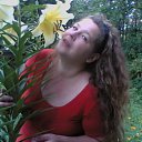 ���� �����, ������, 49 ��� - ��������� 22 ������� 2009