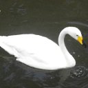 ���� ������� �����, ����������� - ��������� 29 ���� 2011 � ������ �������