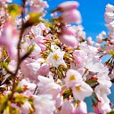 ���� Svetlana, ������, 59 ��� - ��������� 31 ����� 2011 � ������ ���� �������� �������