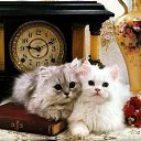 ���� Ihar., �����, 53 ���� - ��������� 23 ��� 2012 � ������ �������