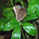 ���� ����, �����-���������, 57 ��� - ��������� 6 ������ 2011 � ������ ���� �������