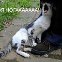 ���� ���������, ���������, 47 ��� - ��������� 29 ���� 2010 � ������ �������