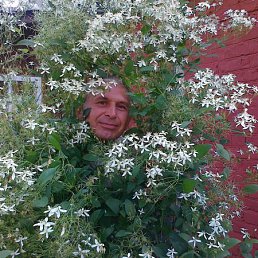 ������, ����, 62 ����