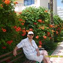 ���� ���������, �������, 51 ��� - ��������� 27 ���� 2011 � ������ ���� ��