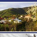 ���� Ramazan, �������, 61 ��� - ��������� 23 ������ 2012 � ������ ������������
