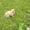 ���� ������, �������, 42 ���� - ��������� 9 ������� 2012 � ������ �������