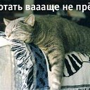 ���� ������, ������, 46 ��� - ��������� 23 ��� 2010 � ������ �...�