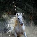 ���� ������, ������-��-����, 47 ��� - ��������� 19 ������� 2011 � ������ ���� ����������