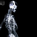 ���� Massif, ������, 40 ��� - ��������� 13 �������� 2010 � ������ �������