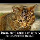 ���� �����, �����, 36 ��� - ��������� 22 ���� 2011 � ������ ����������!�