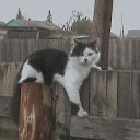 ���� �����, ������ - ��������� 19 ������ 2012