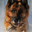 ������ �� ������� �������