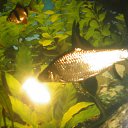 ���� �������, ������, 48 ��� - ��������� 24 ������� 2010 � ������ ���� ��������