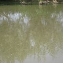 ���� ���������, ������, 43 ���� - ��������� 25 ��� 2012 � ������ �������