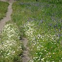 ���� ����, �������� ������ - ��������� 8 �������� 2010 � ������ ������� ��������....�