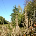 ���� �������, ������, 68 ��� - ��������� 3 ������� 2011 � ������ ���� ����������