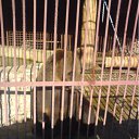 ���� ������, ������, 49 ��� - ��������� 29 ���� 2011 � ������ ����� 2011�