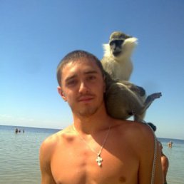 ������, ������ �����, 38 ���