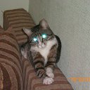 ���� �������, ��������� - ��������� 17 ���� 2011 � ������ ���� ���������