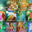 ���� �����, ������ - ��������� 2 ������� 2010 � ������ ������ ����