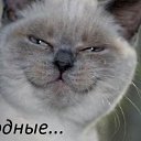 ���� *******�������, ������ ��������, 54 ���� - ��������� 5 ������ 2013 � ������ ������ ��������