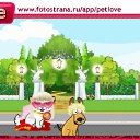  Alex, , 47  -  14  2011   PetLove