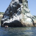 ���� ������, �����������, 47 ��� - ��������� 5 ������ 2013 � ������ ���� ����������