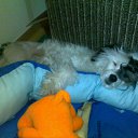 � ������� � ���������)) �� ������� ���� �������)�