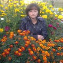 ���� �����, ����-��� - ��������� 4 ���� 2013 � ������ ���� ����������