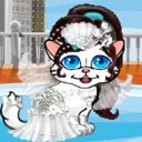 ���� ~����~, ������������, 24 ���� - ��������� 1 ������� 2011 � ������ ���� ������� � ������ ��������