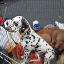 ���� "@����", �����-���������, 25 ��� - ��������� 3 ��� 2010 � ������ ������ ������