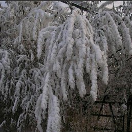 ���� Artur, ������, 53 ���� - ��������� 27 ������ 2013