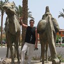 ���� ��������, ���������, 48 ��� - ��������� 23 ���� 2013 � ������ ���� ����������