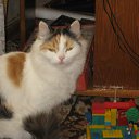  ,  -  19  2011       ...