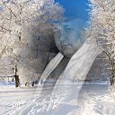 ���� ������, ���������, 53 ���� - ��������� 29 ������ 2012 � ������ ���� ����������
