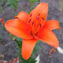 ���� ������, ������, 57 ��� - ��������� 1 ���� 2013 � ������ �������