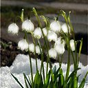 ���� �����, �����-���������, 59 ��� - ��������� 27 ����� 2010 � ������ ������������