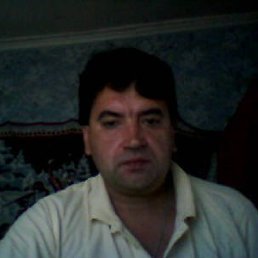 ����, �����-���������, 53 ����