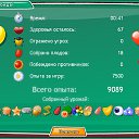   Mirror_return To River Of Flowers,  -  18  2012    