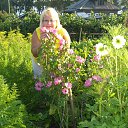 ���� ������, ��������, 67 ��� - ��������� 1 �������� 2012 � ������ ���� ����������