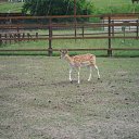 ���� ������, �����, 42 ���� - ��������� 1 �������� 2011 � ������ �������