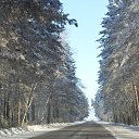 ���� ����, ������������, 49 ��� - ��������� 7 ��� 2012 � ������ �������