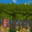 � �� ������� �Tropikania�