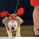 ���� ����� - ���������� ��������!!!, �����������, 56 ��� - ��������� 4 ������� 2009 � ������ ����������� :-)�