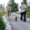 ���� �����, ������������ - ��������� 14 ��� 2011 � ������ ���������, ��������� �������