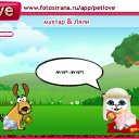  ,  , 46  -  2  2010   PetLove