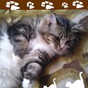  ,  -  16  2009     &quot;&quot;  - !