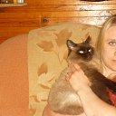 ���� ������, ������ - ��������� 2 ���� 2012 � ������ ���� ����������