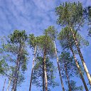 ���� ��������, ����������, 61 ��� - ��������� 27 �������� 2012 � ������ �������